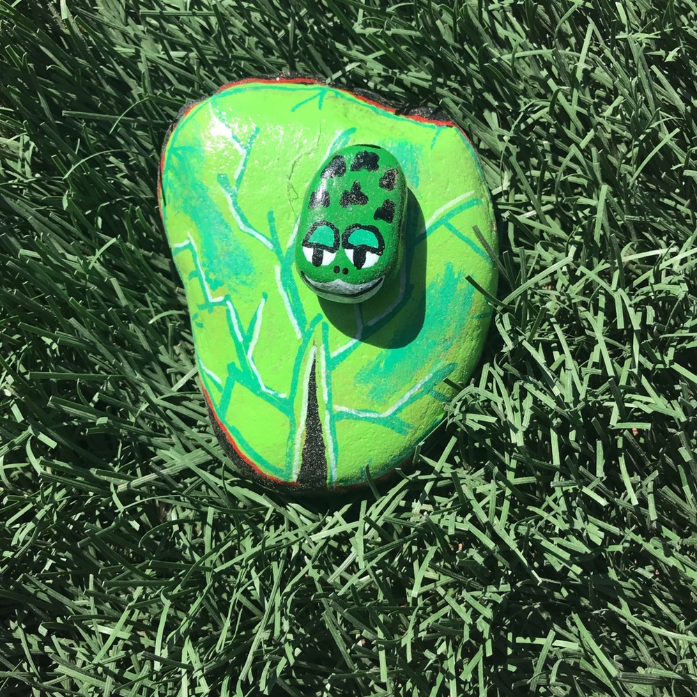 Lily pad frog painted rock home decor